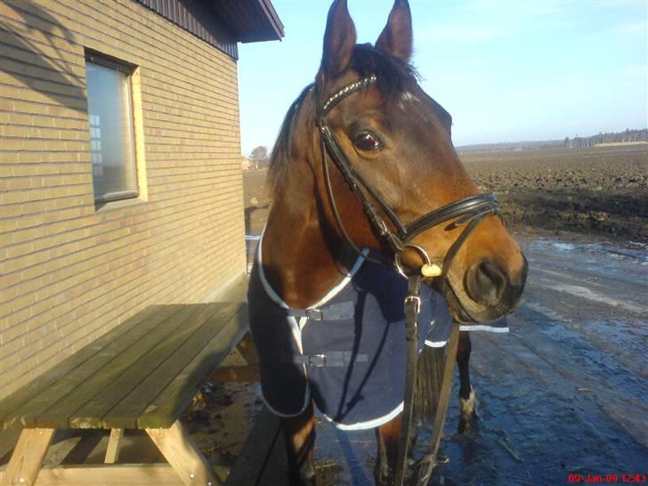 Anden særlig race Diva <3 #solgt#. - Heij. Velkommen til den smukkes profil (: billede 1