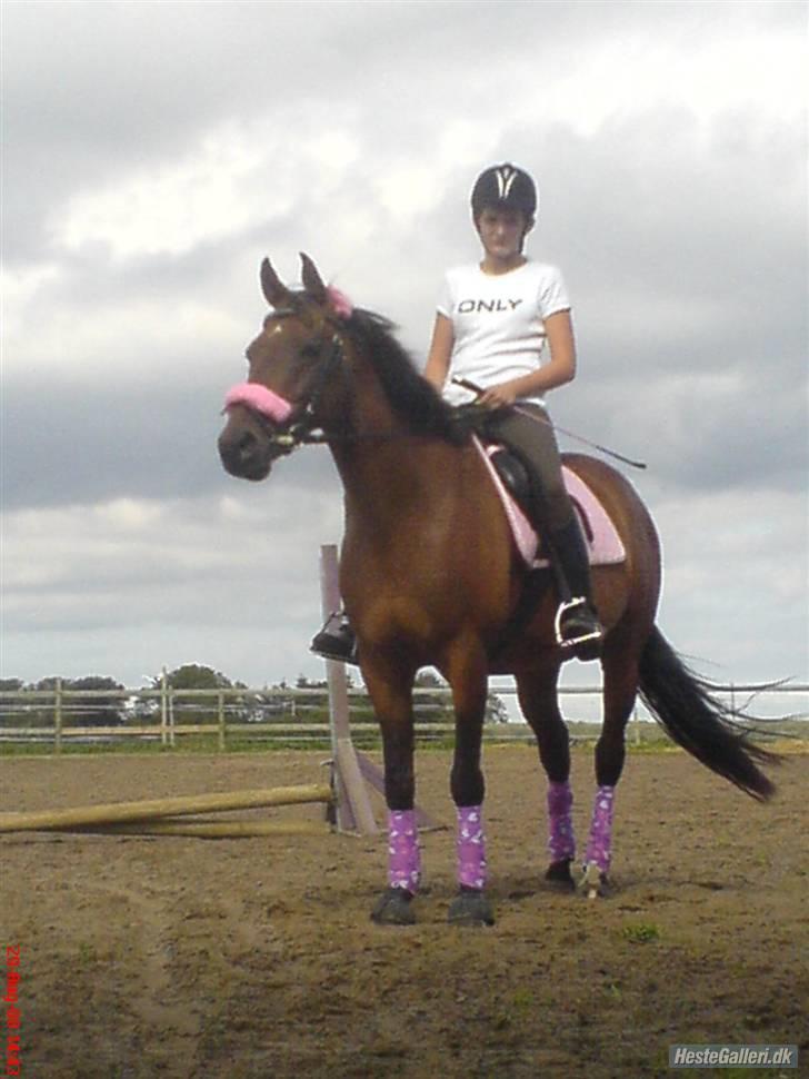 Anden særlig race Diva <3 #solgt#. - Før vi skulle ride-og ja vi kan godt li´lyserød(; billede 2
