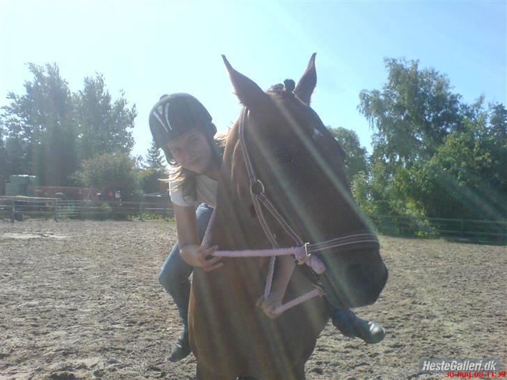 Anden særlig race Diva <3 #solgt#. - Ja,jeg elsker miiiiin hest:D billede 7