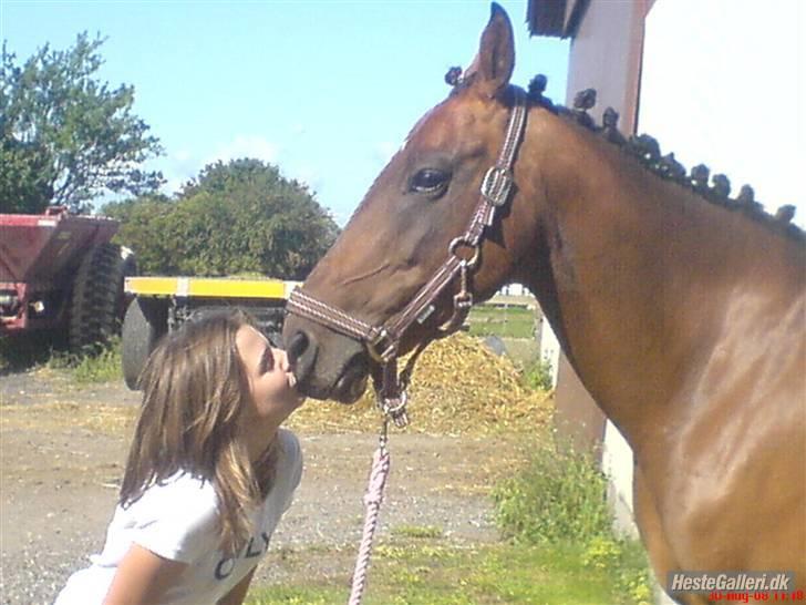 Anden særlig race Diva <3 #solgt#. - Hun fortjener en masse kys<3 billede 10