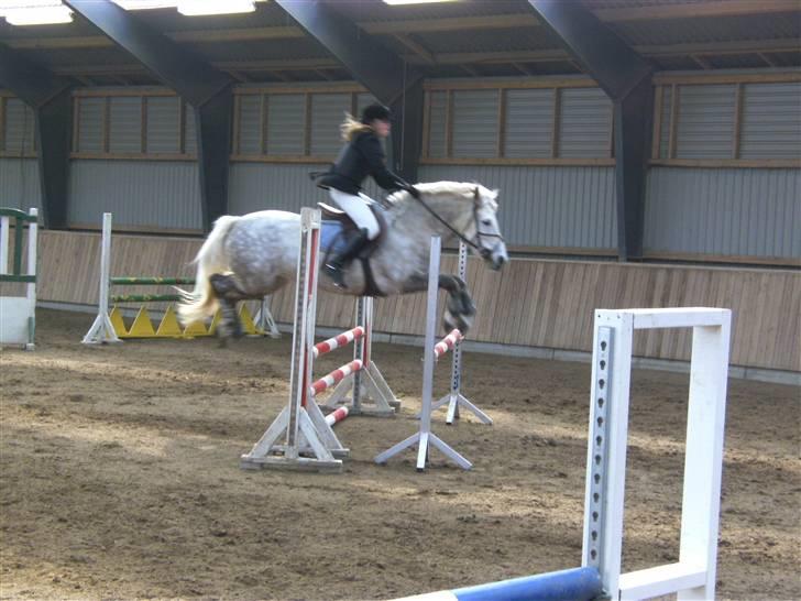 Anden særlig race Bianca RIP ;s - bianca og jeg i en la på HIRK - jeg elsker dig(L). billede 18