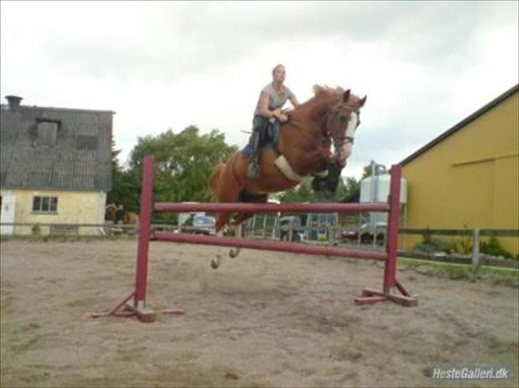 Anden særlig race Another Dancer tidr part  - eneste ridebilled jeg har valgt at sætte ind af drengen  billede 11
