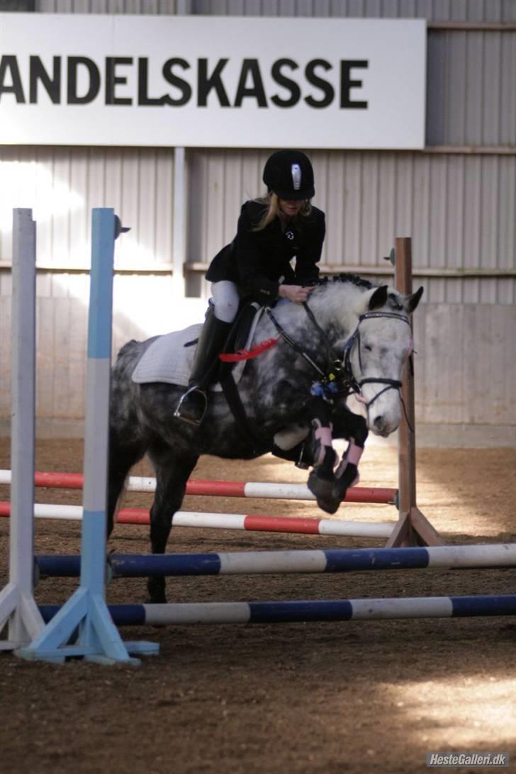 Anden særlig race Theis - VBP <3 - Spring LE<3.. HARK//Foto Malene Markmann  billede 5