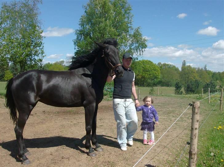 Traver In Ger Solgt - Så smuk er hun blevet efter vi har skiftet foder:) billede 13