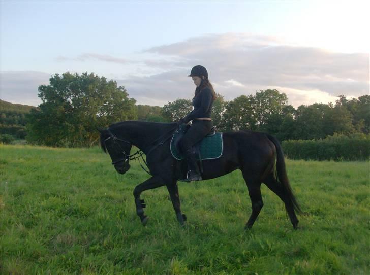 Traver In Ger Solgt - Går bedre og bedre for hver dag:) billede 15