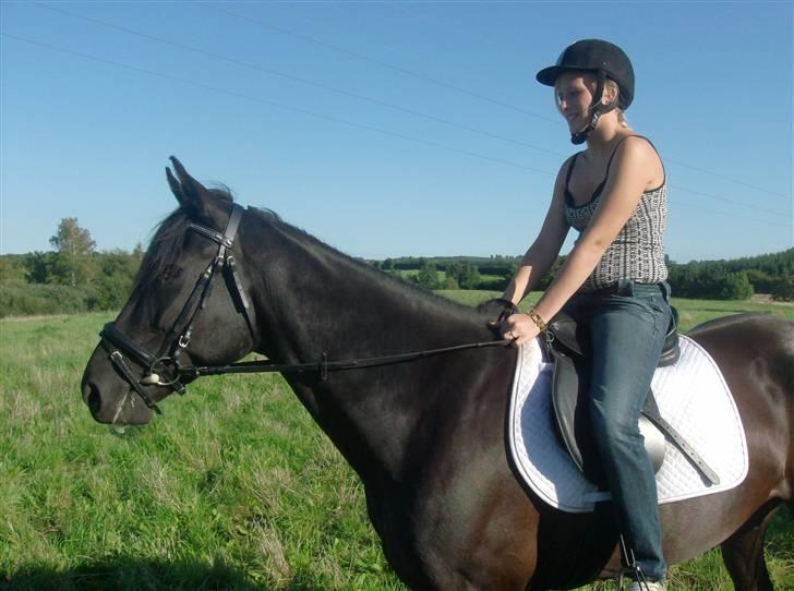 Traver In Ger Solgt - Fie rider (Nybegynder) billede 16