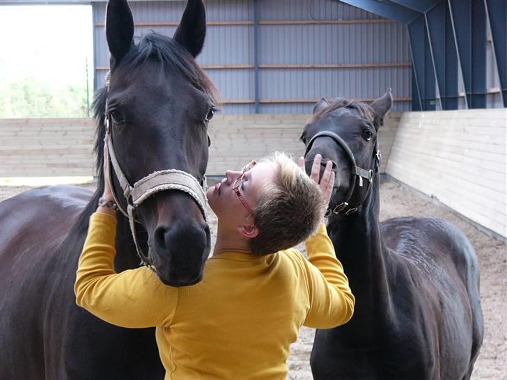 Dansk Varmblod Zobel - Zobel og Cute d. 1. septemner 2008. billede 15