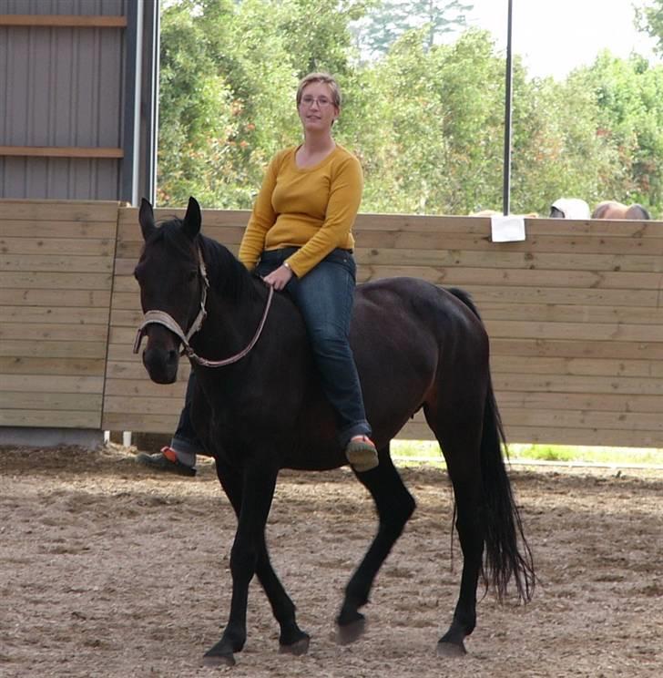 Dansk Varmblod Zobel - Første ridetur uden sadel siden novermber 2007.. elsker det.. billede 16