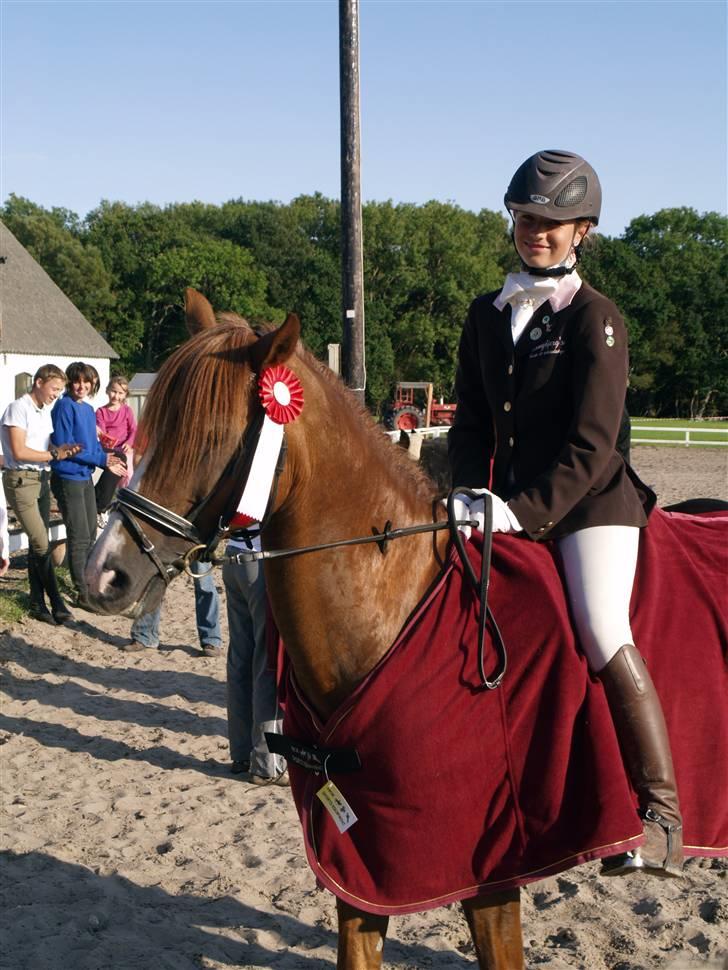 Anden særlig race Daggry - Klubmester i dressur 2008 på HUR for kat. 2 billede 11