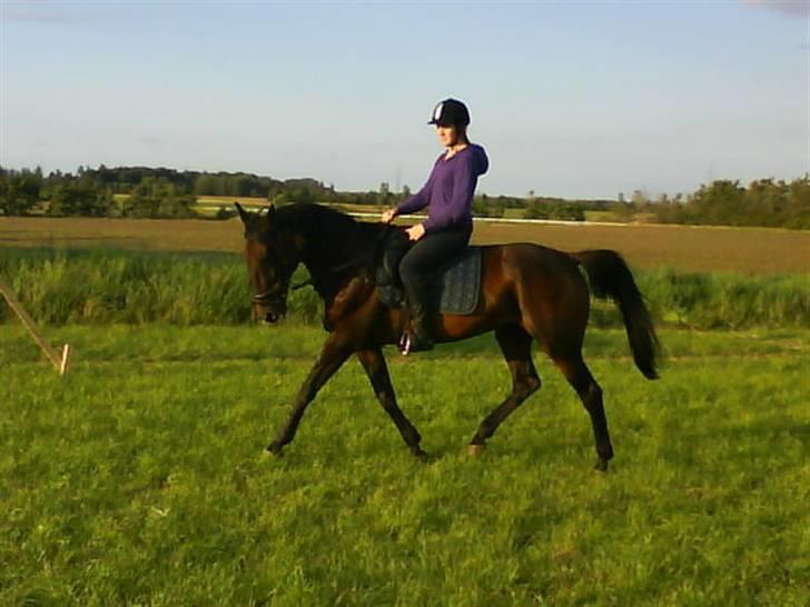 Traver Thor Holmager [R.I.P] - En traver kan også!

Taget af: Dorte Jensen/Grønvang foto(mig) billede 6