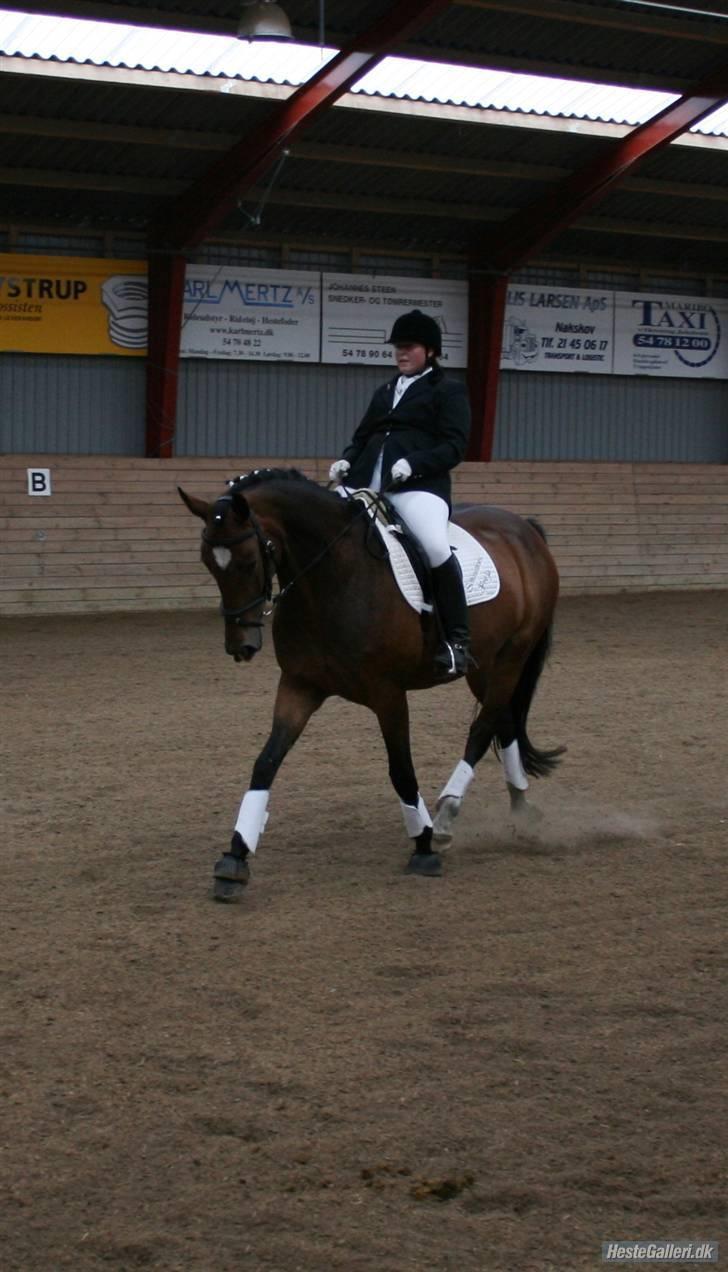 Oldenborg schousboes freja billede 20