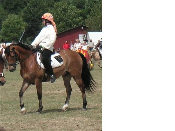 New Forest Strandagers Marchal billede 17