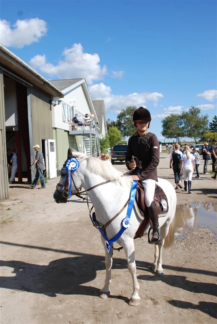Welsh Partbred (Sec F) Emdegårdens Herculessolgt - NR 2 TIL DISTRIKTMESTERSKABET INDIVIDUELT 2008  elsker dig herc <3 billede 15