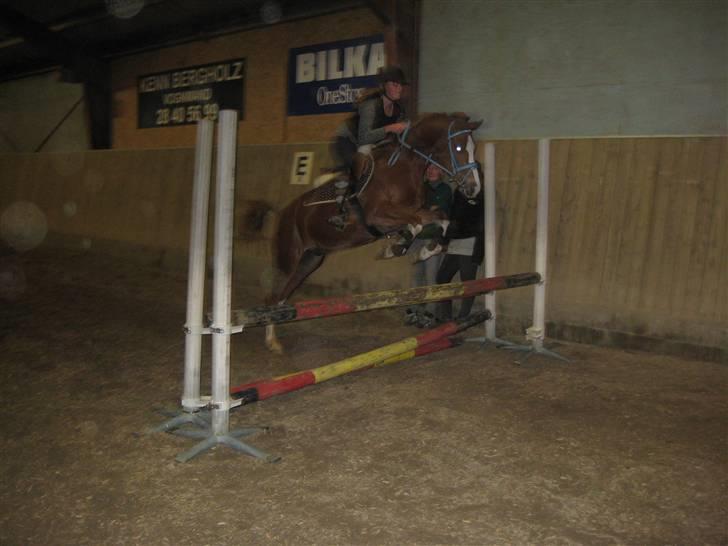 Hollandsk Sportspony U-peter (Orlando)  - springtræning. (: billede 20