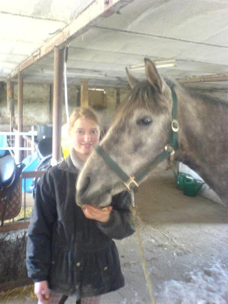 Anden særlig race Ib ( gammel låne hest ) - Tak fordi i kiggede forbi:) billede 10
