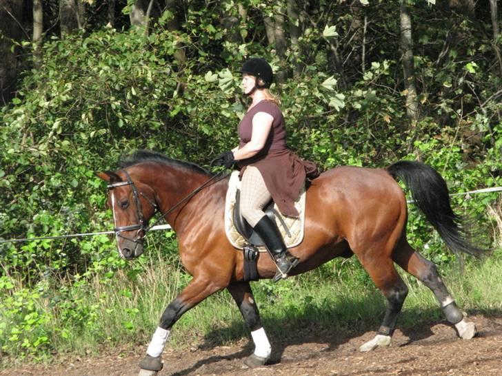 Anden særlig race Lazeo R.I.P - Dejlige dreng :O) billede 13