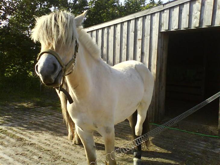 {{currentPhoto.altText}} billede {{currentPhoto.number}}