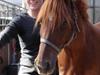 Anden særlig race Hudson SOLGT [Tidl. hest]