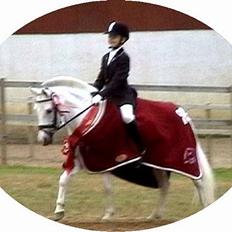 Anden særlig race Cindy