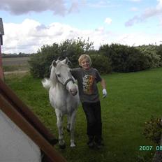 Anden særlig race Cindy