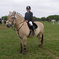 Fjordhest Frederik Midtgård *Himmelhest*