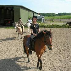 Anden særlig race Baloo 