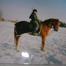 Anden særlig race Bandit (død)