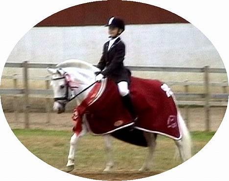 Anden særlig race Cindy - Kasper og Cindy der lige har vundet Sydjysk Mesterskab indv.  i dressur 2005! De red til 66,?% De er bare for gode! :)  billede 1