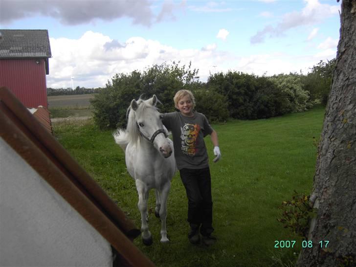 Anden særlig race Cindy - Kasper og Cindy. Det er vist Cindy der går tur med Kasper, og ikke omvendt. :P Der er stadig krudt i den lille dame, selvom hun er gået på pension. :) billede 2