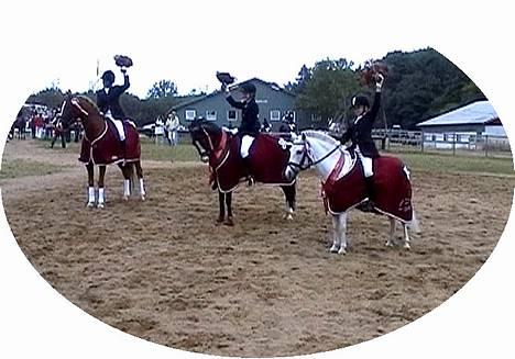 Anden særlig race Cindy - Kasper og Cindy: Sydjyske Mestre! :) De har god grund til at være stolte! Billedet er taget lige inden han får vand! ;) hehe billede 7
