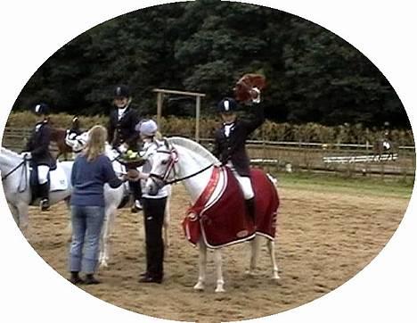 Anden særlig race Cindy - Kasper og Cindy der lige har vundet Sydjysk Mesterskab indv.  i dressur 2005! De red til 66,?% De er bare for gode! :) Nr. 2 var Frk. Hansen og nr. 3 Samson.  billede 8