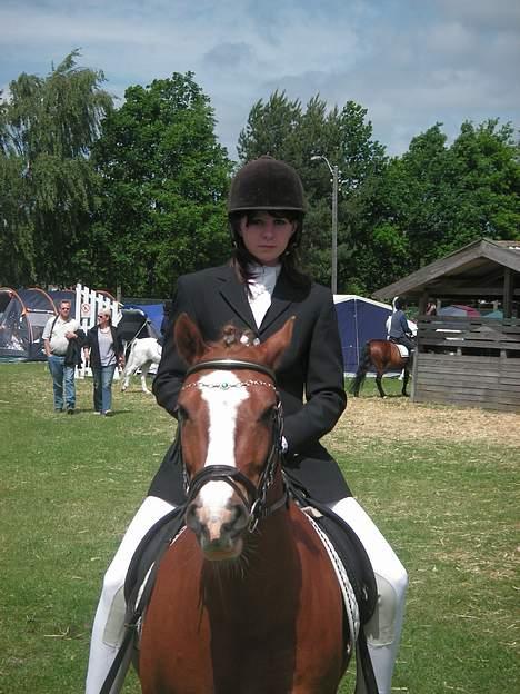 Welsh Pony af Cob-type (sec C) Æh: Jacki Jarn - jahh det er til odense børne dyreskue 2005 billede 7