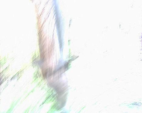 Shetlænder Sorteper - Ved ikke lige hvad der skete for mit kamera xD Men man kan da se lidt. Hæhæ billede 8