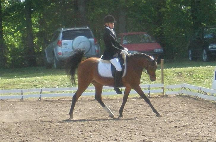 Anden særlig race Linaro - Første distrikt stævne, Morsø 2007 LB3 :) billede 3