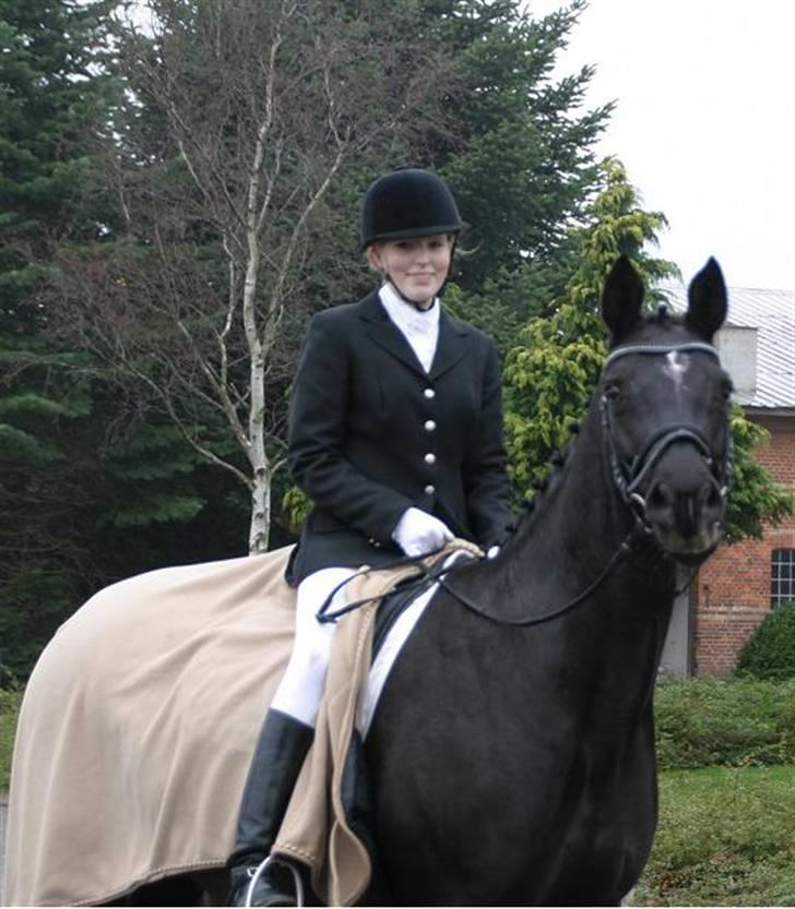 Tysk Sportspony Starlight <3 *Tøsen* *solgt* - Stævne  billede 15