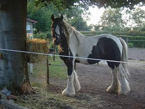 Tinker Lord Wallentin  * DØD * - Wallentin hygger sig billede 7