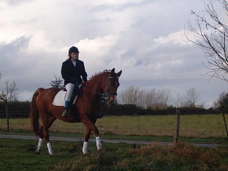 Anden særlig race Bella billede 7