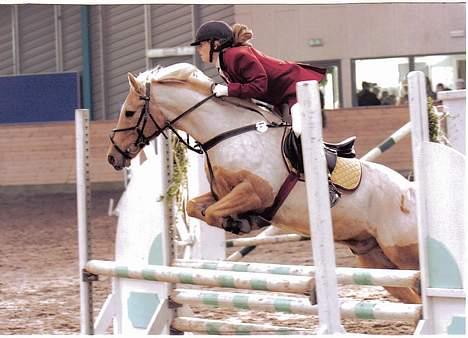 Palomino Lukas solgt :'( - her er mig og Lukas til stævne i sønderborg... det var vores sidste LB og den vandt vi... :D billede 1