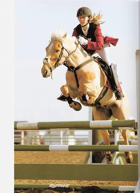 Palomino Lukas solgt :'( - MB i boller, fik en 7. plads ;o),, desværre med 1 tidsfejl i hovedespringningen.. :o( billede 2