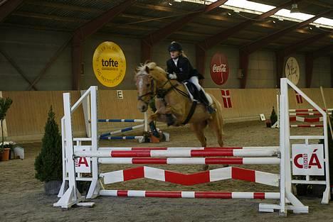 Palomino Lukas solgt :'( - en første LA vi sprang sammen :P billede 6