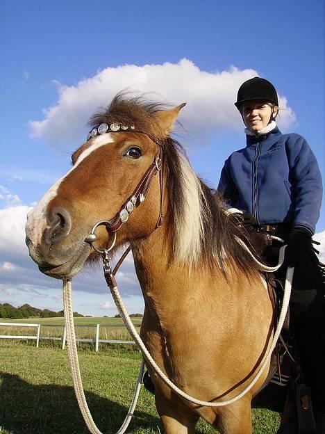 Anden særlig race Laika - Laika - Prøv lige at se ud som om du ikke kan lide vores fotograf Mikkel ;) billede 5