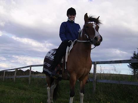 Anden særlig race Laika billede 6