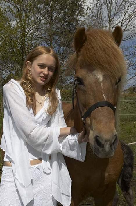 Islænder Aldis Fra Lundebakkegård - Komfirmation billede 15