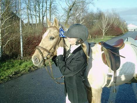 Palomino Lukas solgt :'( - mig og Lukas til dressur stævne i bredebro :) billede 12