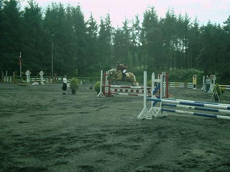 Palomino Lukas solgt :'( - landsstævne på Kallehavegård :) billede 13