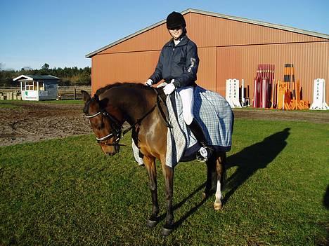 Anden særlig race Linaro - efter stævne i Skive...! billede 7
