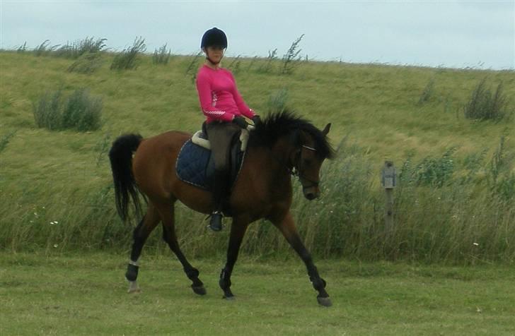 Anden særlig race Linaro - træning august 2007 :) billede 10