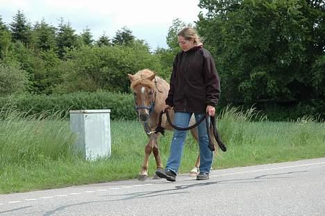 Anden særlig race Rasmus - Samme vej med mor (heldigvis valgte hun at gå  ved siden af...) billede 17