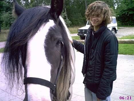 Tinker Bacardi billede 11