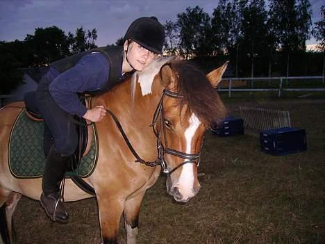 Anden særlig race Laika - OOh hygge på springbanen billede 13